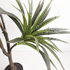Árvore Dracena Toque Real 1m No Vaso De Chão Thai Preto | Árv